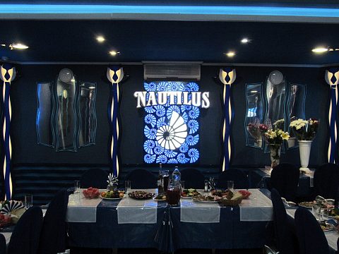 Логотип "Nautilus" — Picasso