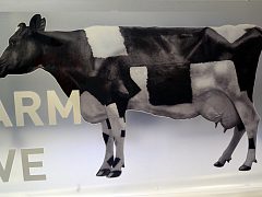 Интерьерная вывеска для компании Form farm creativ — фото 2, изготовитель KRAUFF