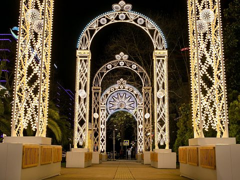Фото 2 работы «Комплекс декоративных светодиодных конструкций»