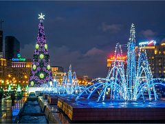 Ель "Сбербанка" на Поклонной горе, высотой 46,7м
