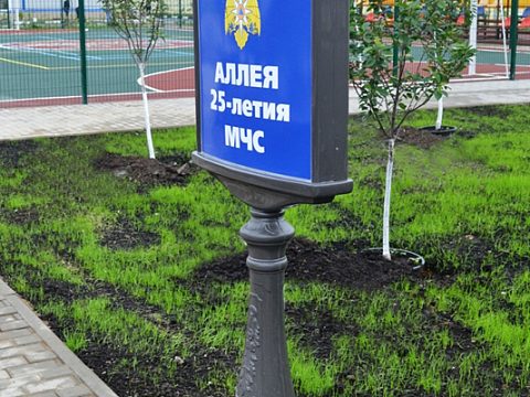 Фото 5 работы «Указатели и афишные тумбы»