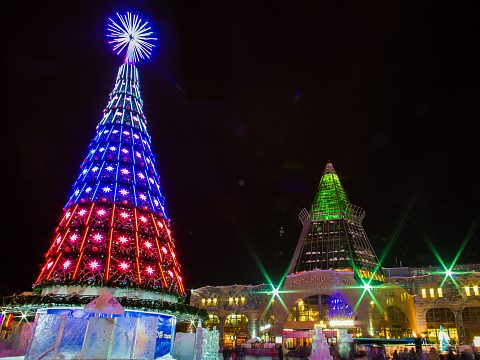 Фото 3 работы «Новогодняя елка для Ханты-Мансийска»