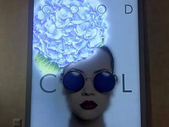 Светодинамическая подсветка. Возможен любой сценарий. — фото 2, изготовитель Smart led