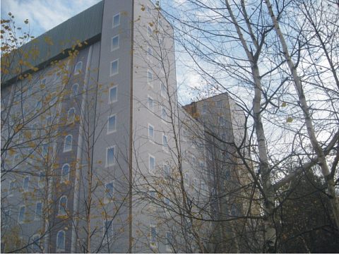 Фото 2 работы «Устройство фальш-фасада в Звездном городке»