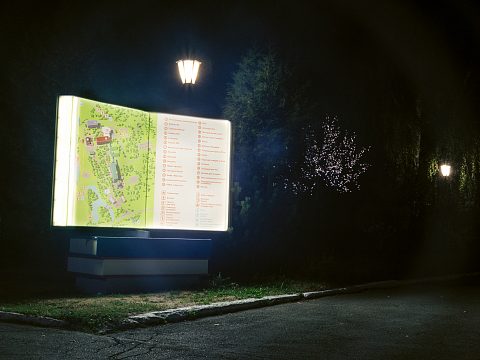 Фото 2 работы «Чудо КНИГА для санатория Нижне-Ивкино»