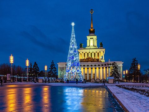 Ель "Ажурная". ВДНХа — Мастерская Городских Решений