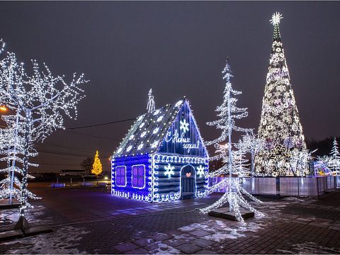 Фото 3 работы «Комплексное оформление площадки на "Воробьевых горах" - "В гостях у сказки". Новый год 2014»