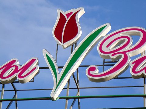 Фото 2 работы «Крышная установка "Цветы Заполярья"»