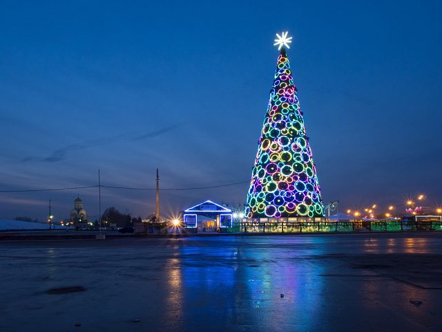 Ели новогодние Сбербанка
