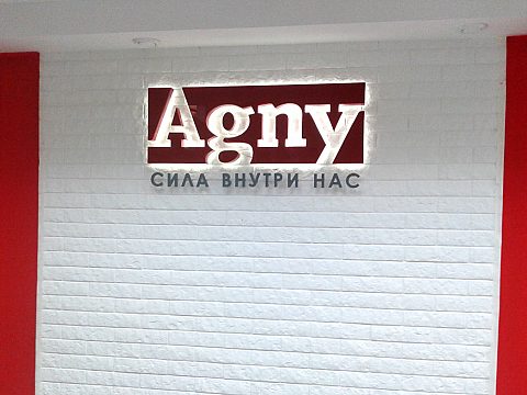 Фото 2 работы «Логотип компании Agny»