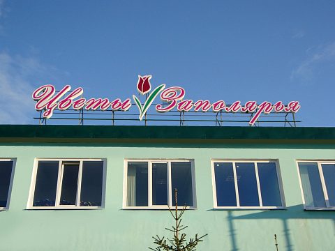 Фото 3 работы «Крышная установка "Цветы Заполярья"»