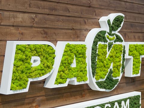 Логотип из мха для ТС "Райт" — РТ групп
