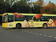 Чай Эдо