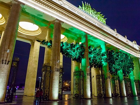 Фото 3 работы «Самая длинная ель России»