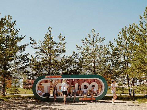 Фото 2 работы «Арт-объект для молодёжного образовательного форума «Территория смыслов»»
