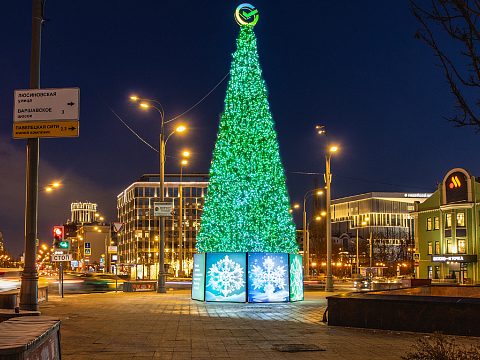Фото 5 работы «Светодинамичные конструкции с использованием контроллеров. Ели СБЕР.»