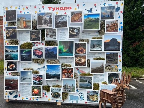 Фото 5 работы «Фотовыставка регионов Арктики»