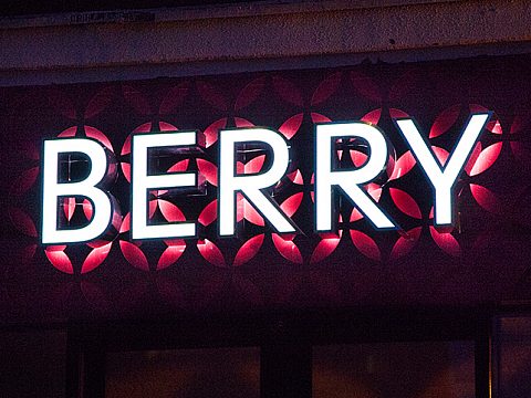 Фото 5 работы «BERRY»
