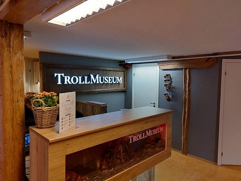 Фото 3 работы «Музей тролля в Норвегии»