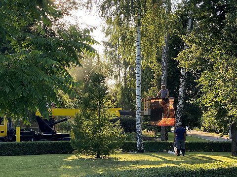 Фото 5 работы «350 лет со дня рождения Петра I»