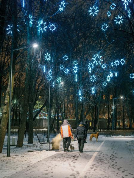 Все в парк!