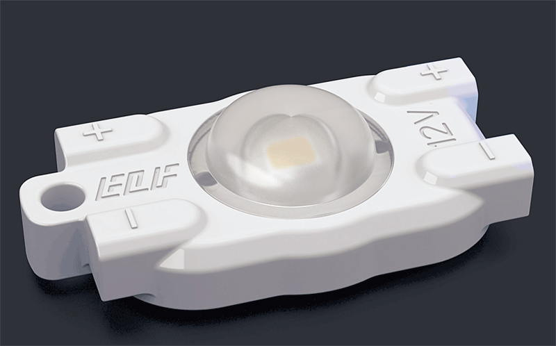 ELF VIVO2019